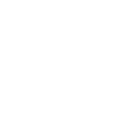 Venta de alfombras y cojines de alta calidad